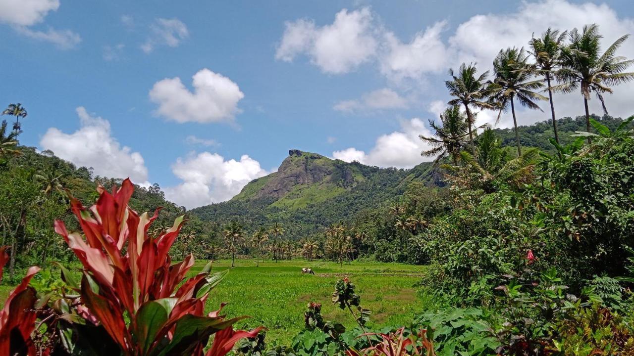 Maliyeckal Homestay Munnar Exteriör bild
