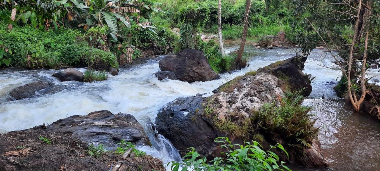Maliyeckal Homestay Munnar Exteriör bild