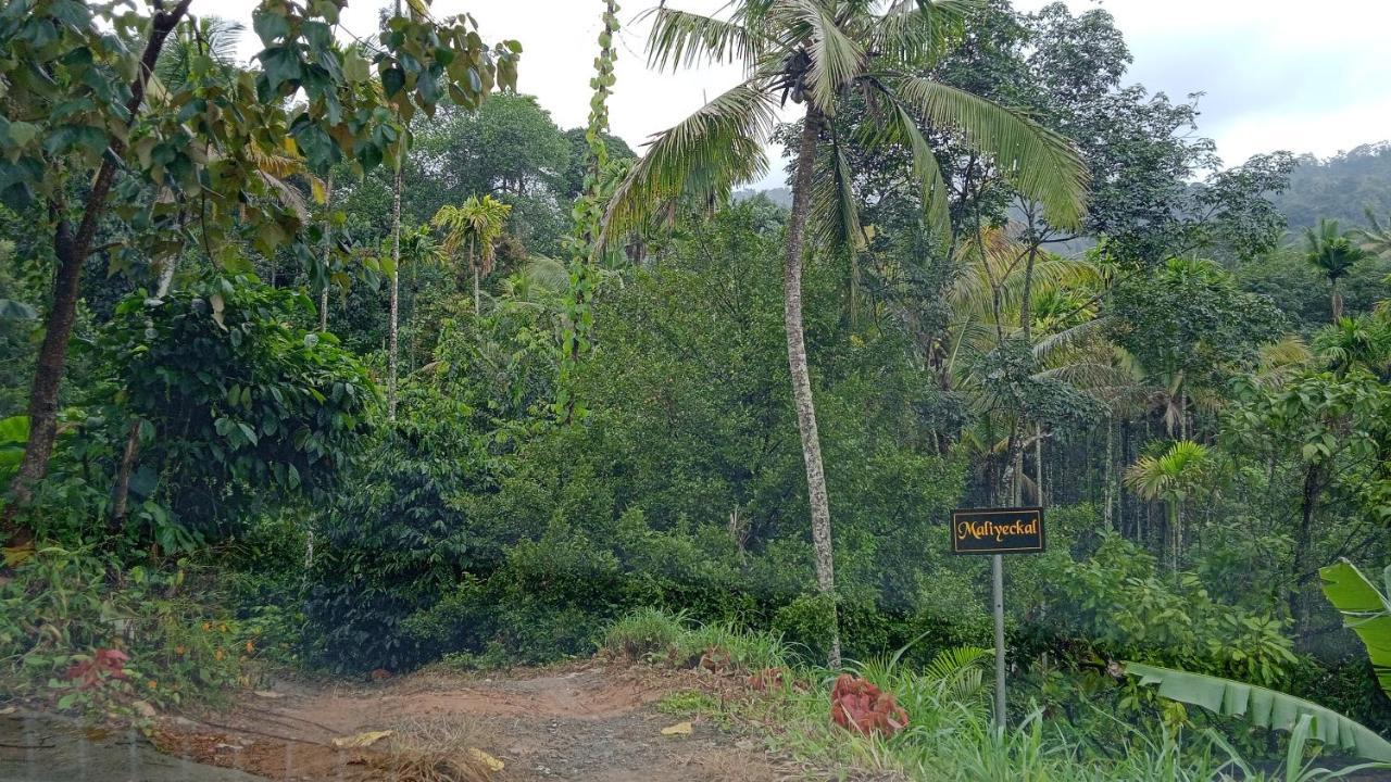 Maliyeckal Homestay Munnar Exteriör bild