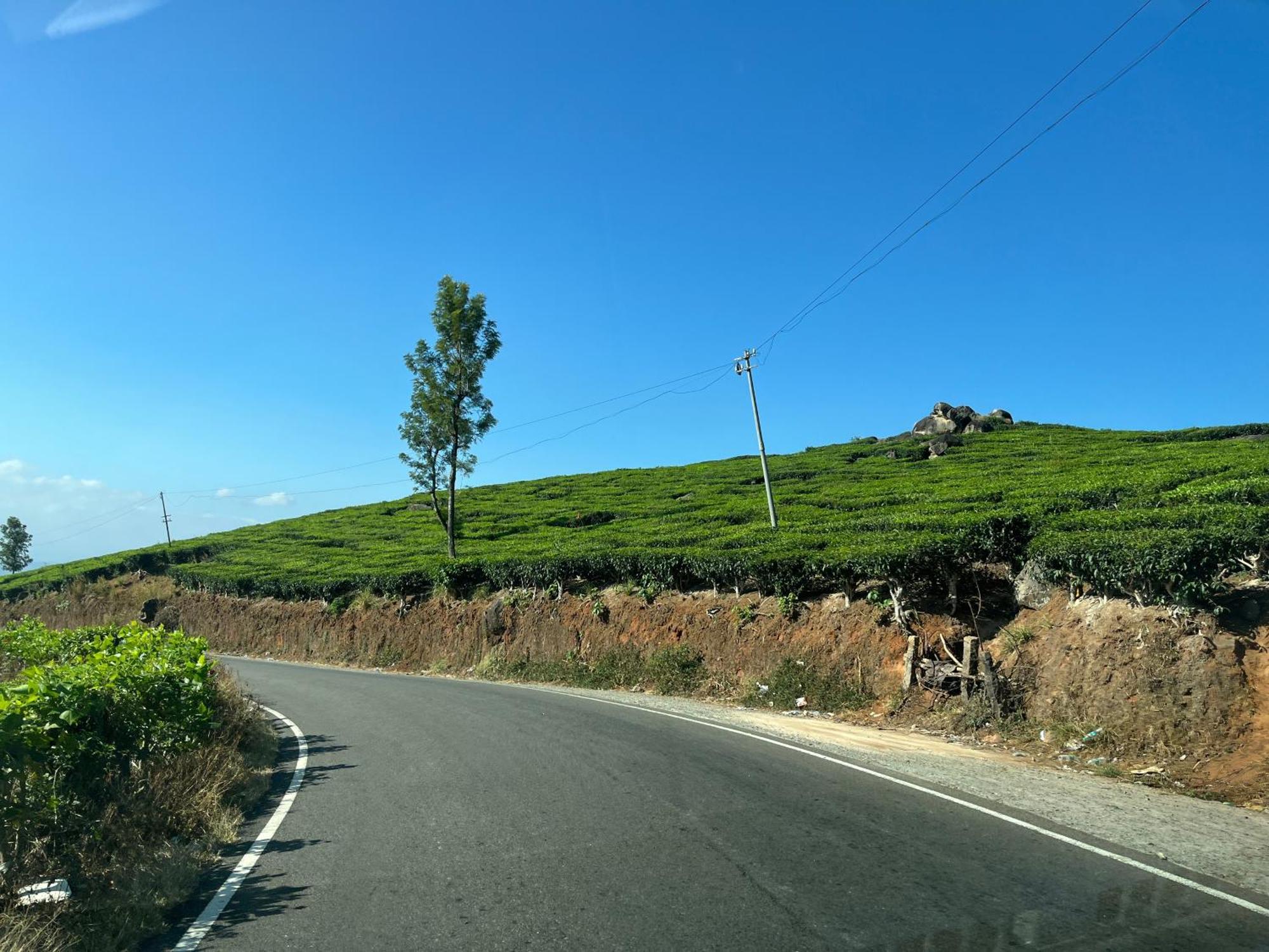 Maliyeckal Homestay Munnar Exteriör bild