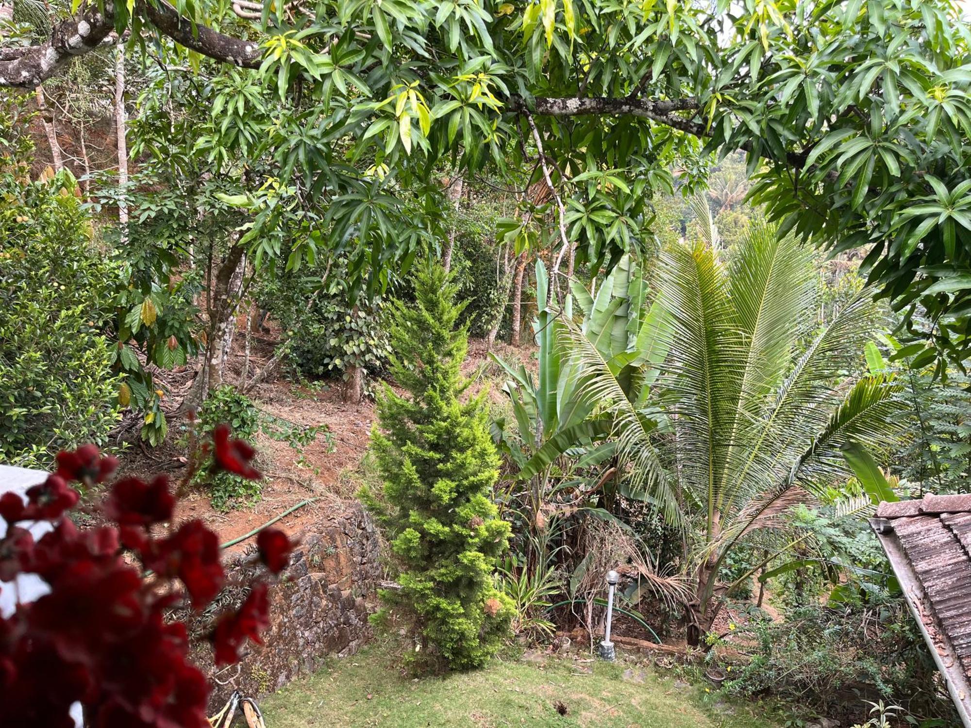 Maliyeckal Homestay Munnar Exteriör bild